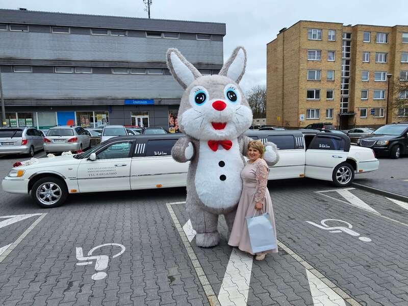 12-14 vietu limuzinas ir laiminga ponia bei didziulis zuikis