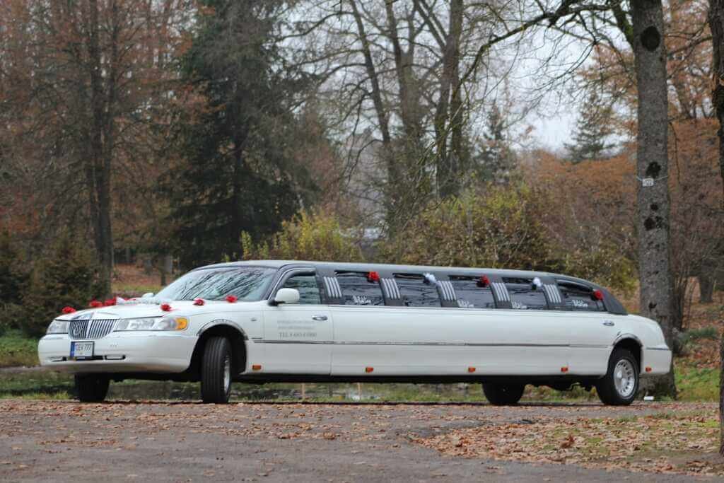 12-14 vietu limuzino nuoma nuotrauka daryta rudens metu