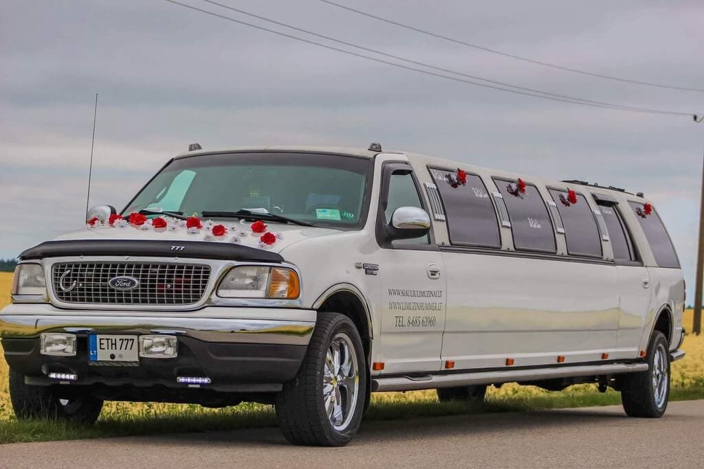 14-16 vietu gamtoje papuostas limuzinas