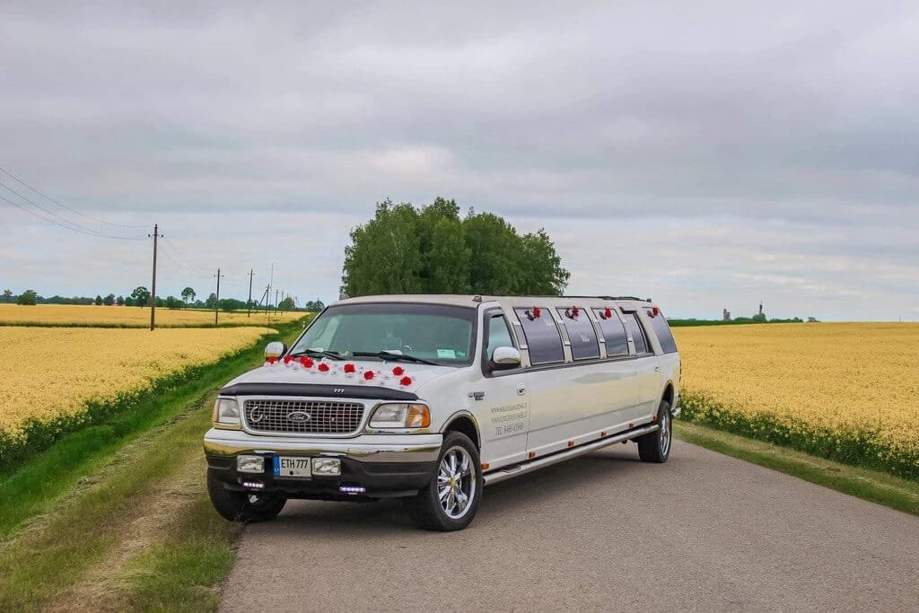 14-16 vietu limuzinas gamtoje