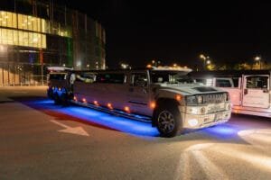 22-26 vietu limuzinas Klaipeda