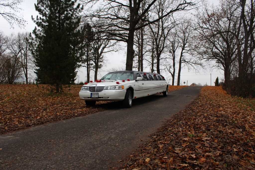 Limuzinu nuoma Mazeikiuose rudeni
