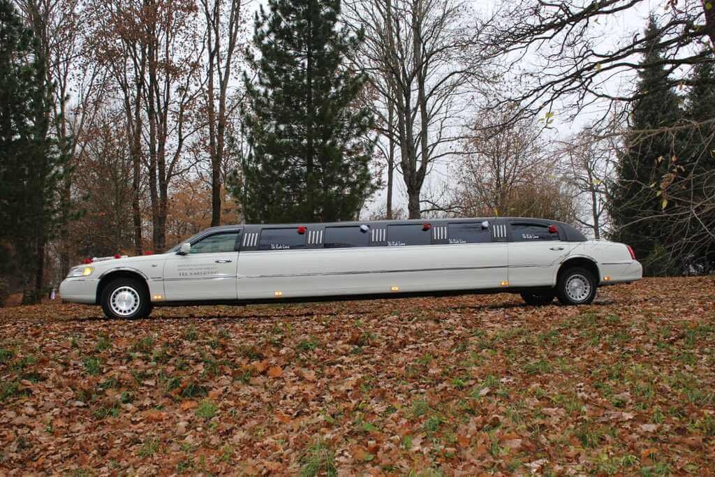 ilgas automobilis su vairuotoju